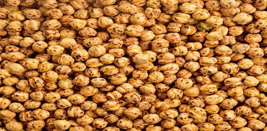 Leblebinin İçindeki Sır