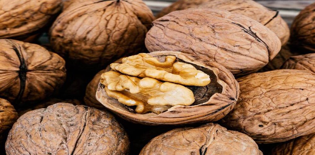 Şifa Kaynağı Ceviz