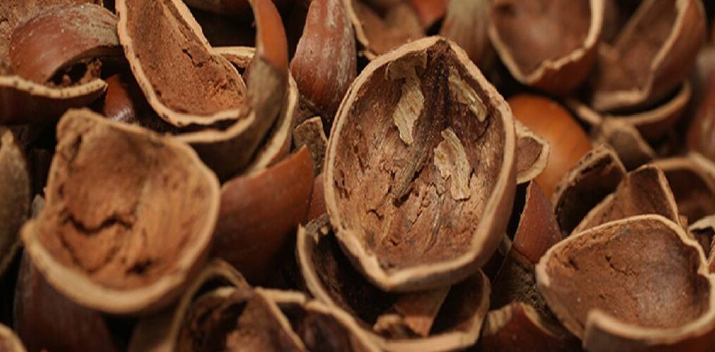 Fındık Kabuğu Kullanım Alanları